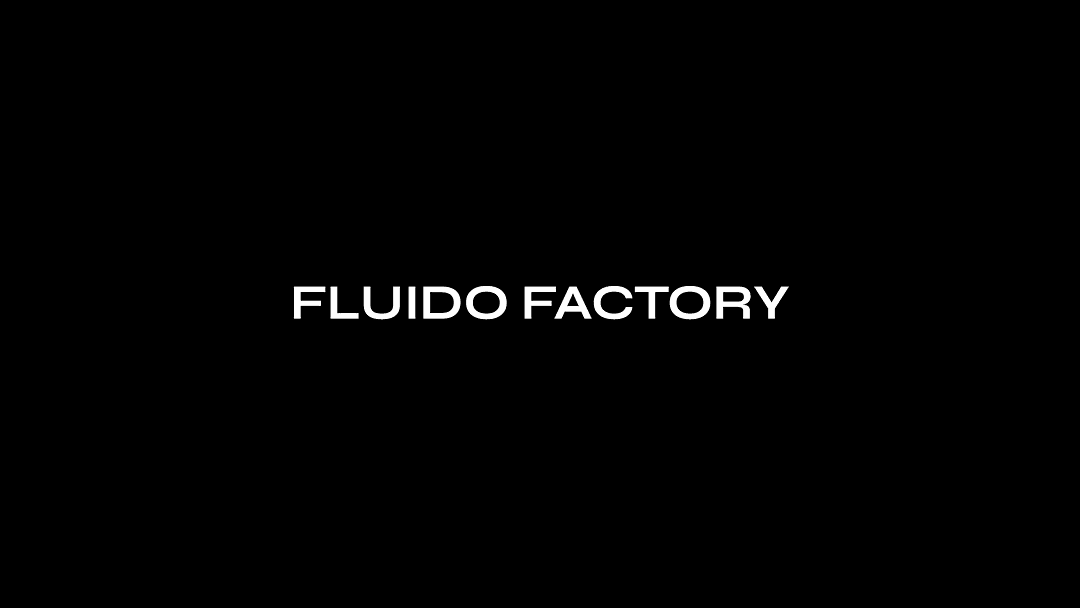 Fluido Factory - SEO per eCommerce cover