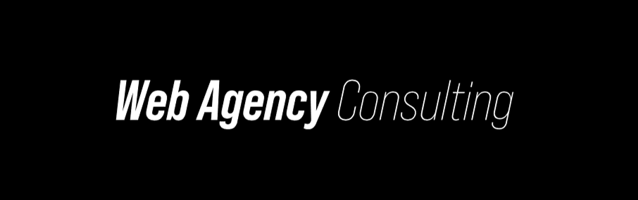 Web Agency Consulting cover