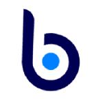 Blue BI Srl logo