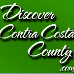 Discover County Network logo