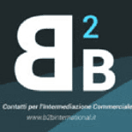 B2B International Italy logo