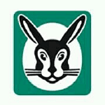 PiBiVaillant logo