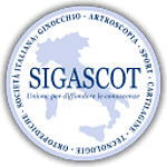Sigascot Web Studio